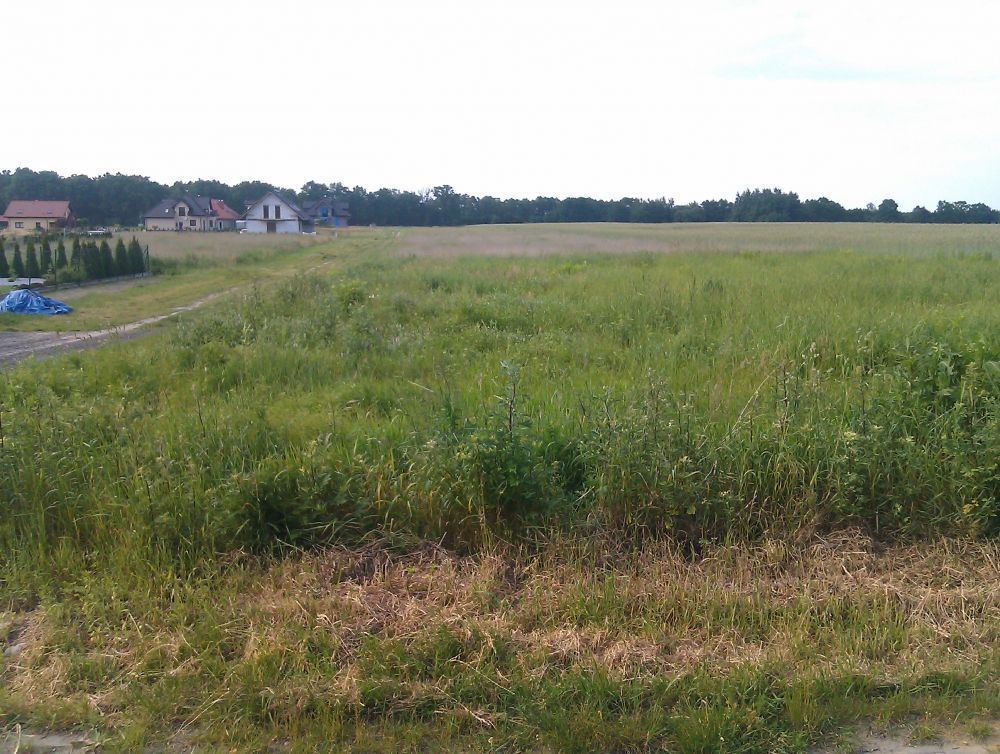 nasza działeczka nasza działeczka